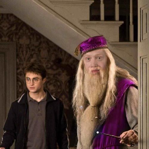 ron dumbledore